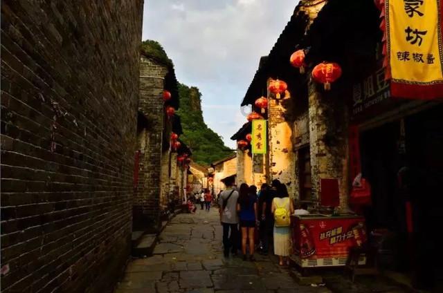 动物帮帮忙保卫家园